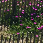 L'estanque L'etang Des Parking Climatisation Des Mouettes A Cote 4 Jardin Sète