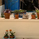 L'estanque L'etang Des Parking Climatisation Des Mouettes A Cote 4 Jardin Ferienhaus Sète