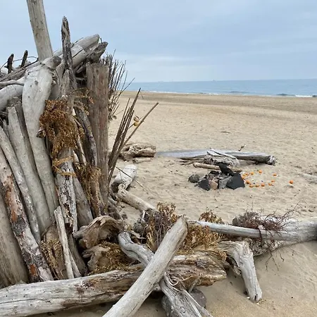 L'estanque L'etang Des Parking Climatisation Tatil Evi Sète