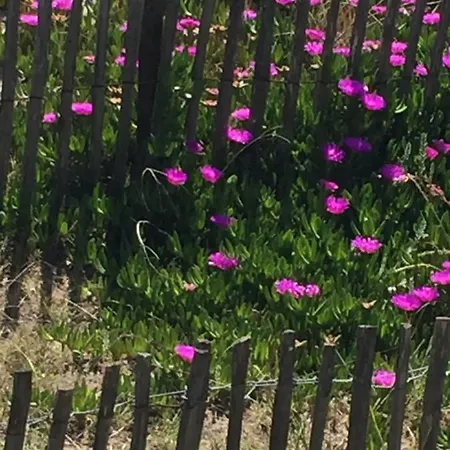 L'estanque L'etang Des Parking Climatisation Sète